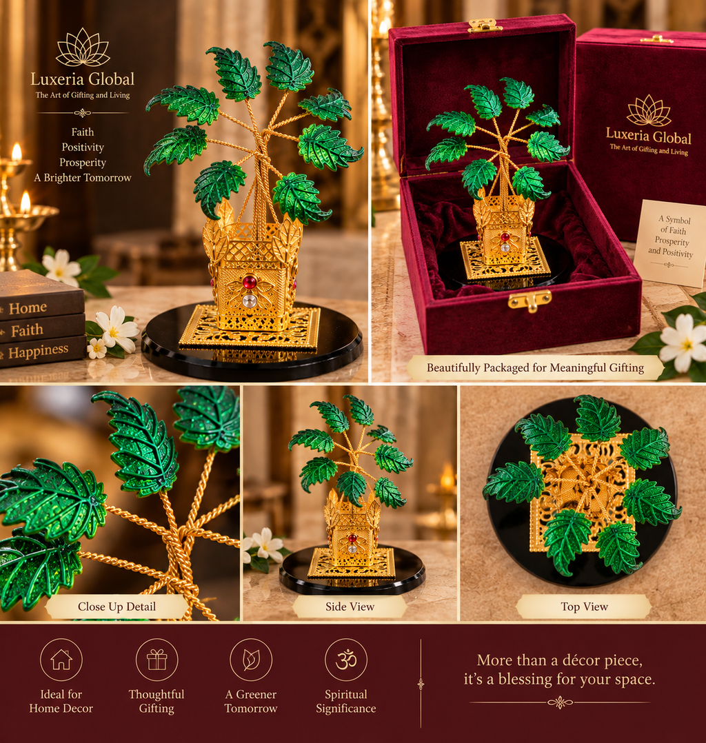 Divine Tulsi Ji details, views and gift packaging